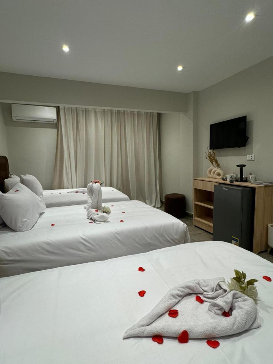 Khufu Pyramids View Bed & Breakfast *